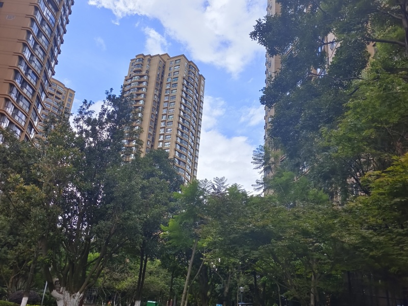 中豪悦城花园其他
