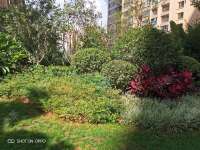 3室2廳2陽臺 海倫國際里約區(qū)其他