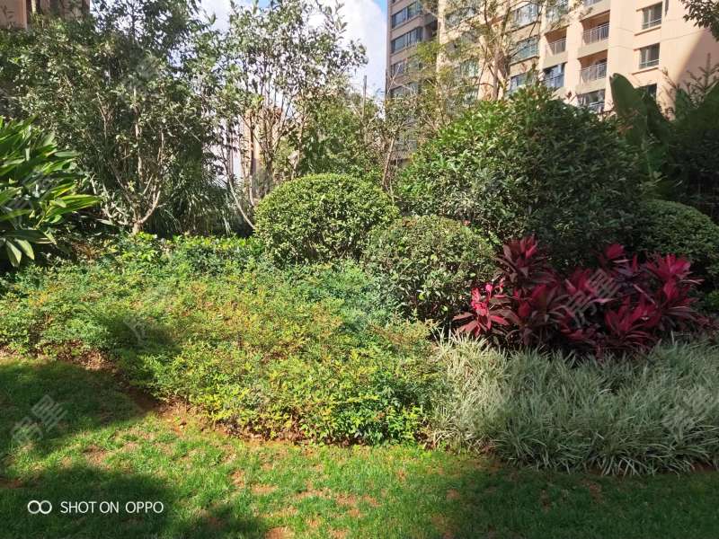 3室2廳2陽臺 海倫國際里約區(qū)其他