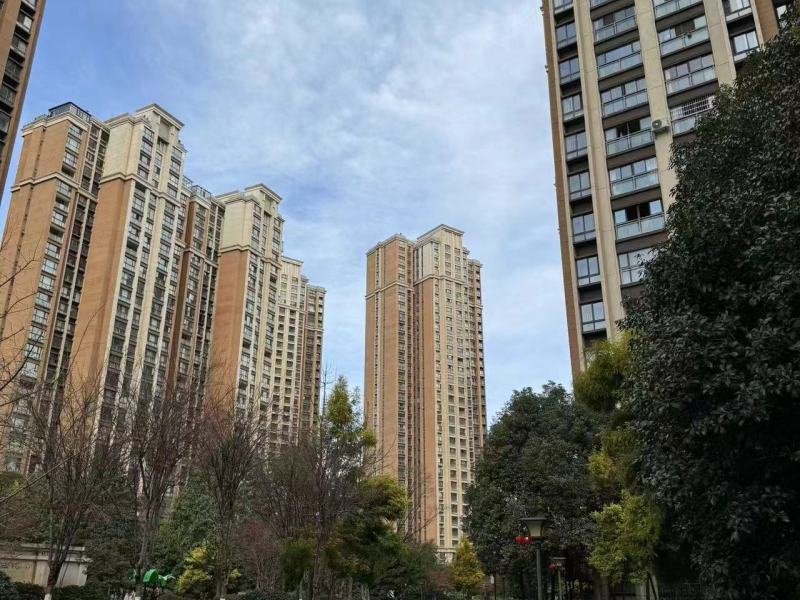 4室2廳2陽臺 新亞洲星辰園其他