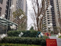 3室2廳2陽臺 新希望觀瀾匯其他