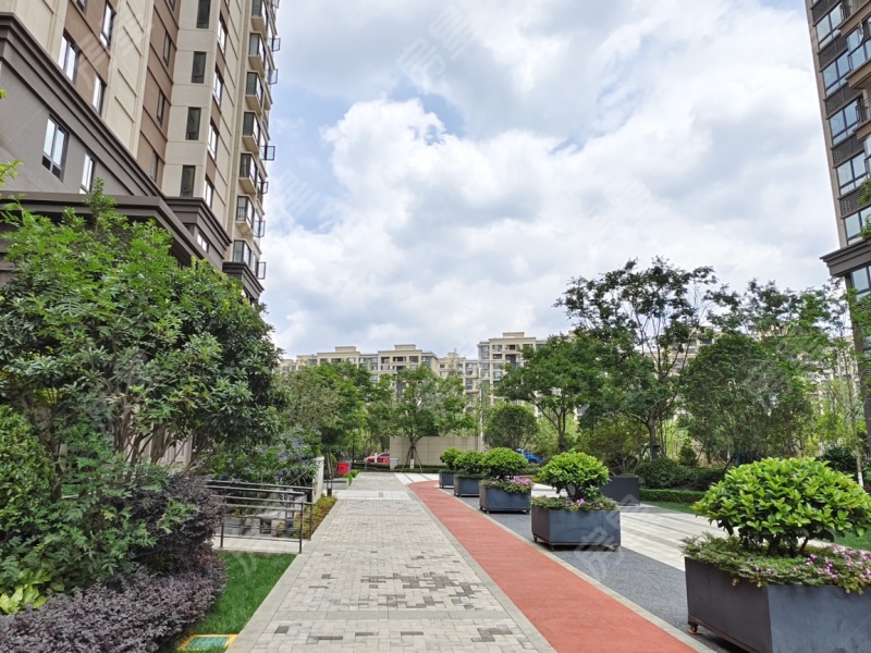 3室2廳2陽臺 萬科翡翠濱江三期其他