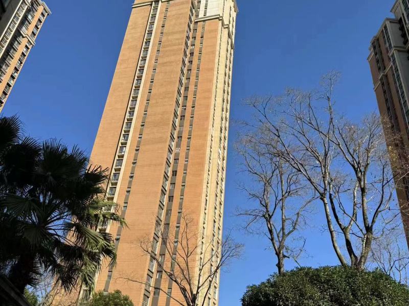 4室2廳2陽臺 新亞洲星辰園其他