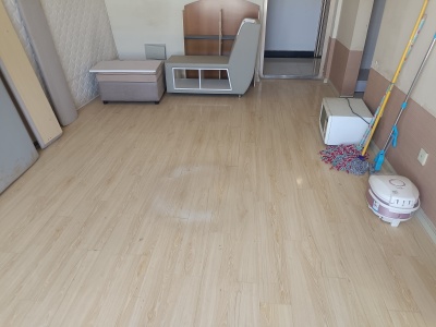 1室1廳1陽臺 水晶俊園