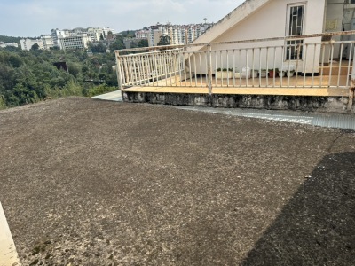 5室3廳3陽臺 清水木華