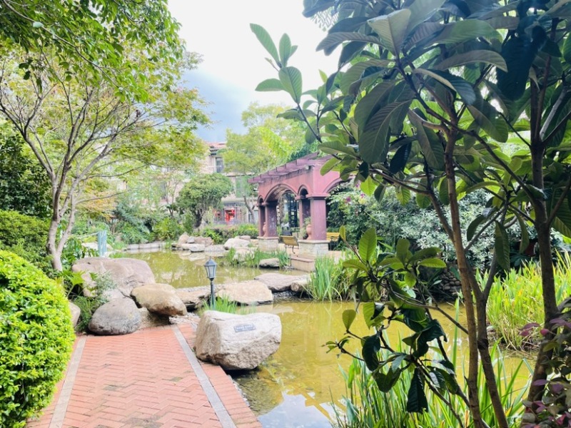 4室2廳2陽臺 公園1903圣維望其他