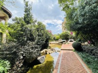 4室2廳2陽臺 公園1903圣維望其他