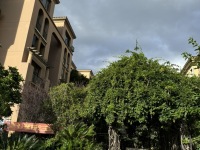 5室2廳2陽(yáng)臺(tái) 奧宸橙郡一期其他