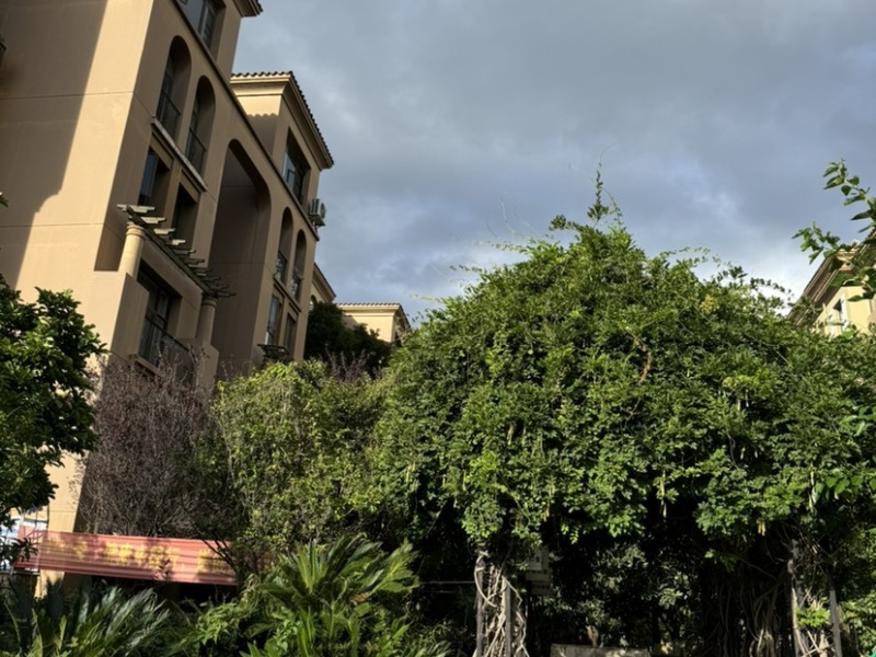 5室2廳2陽(yáng)臺(tái) 奧宸橙郡一期其他