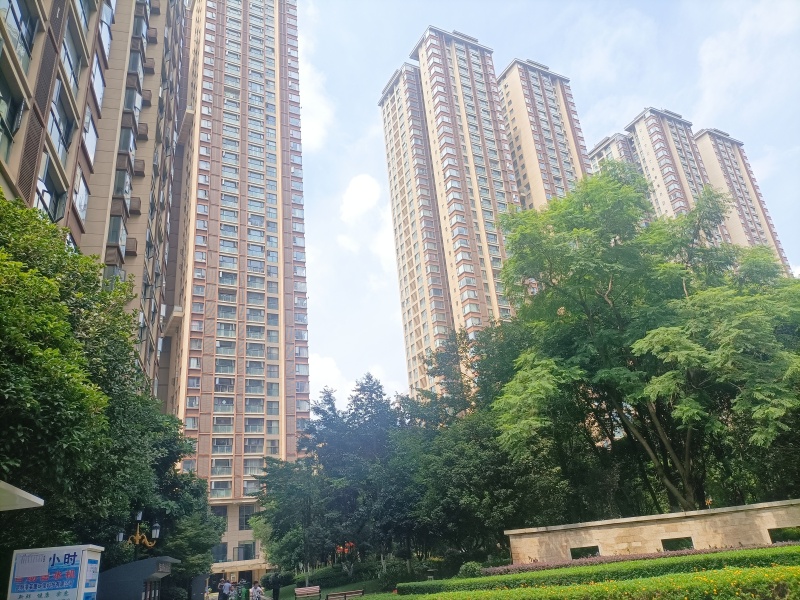 新希望希望汇其他
