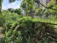 5室2廳2陽臺 清水佳湖雅居別墅戶型圖