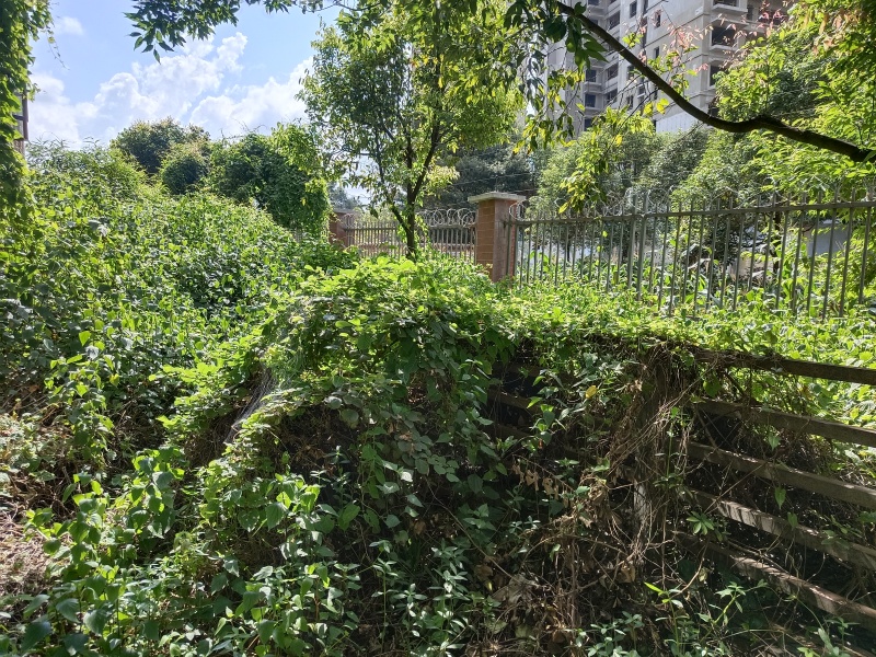 5室2廳2陽臺 清水佳湖雅居別墅戶型圖