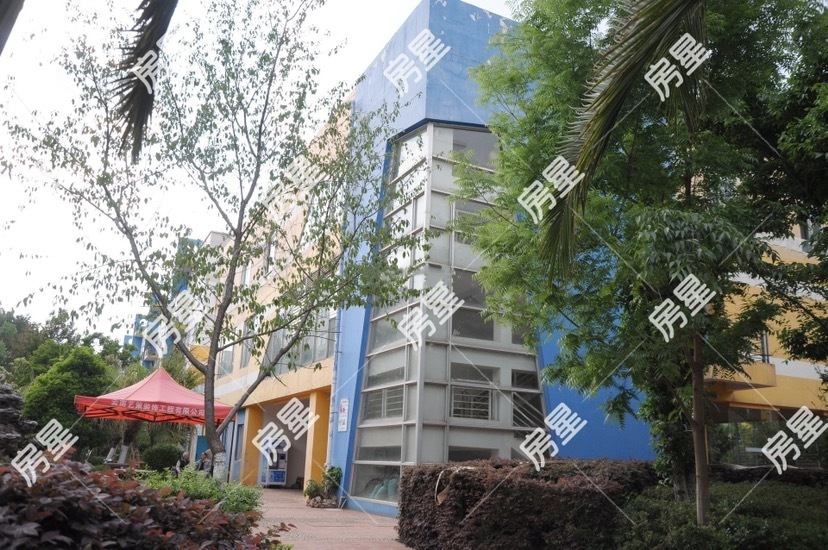 4室2廳2陽臺 愛地花園自家花園