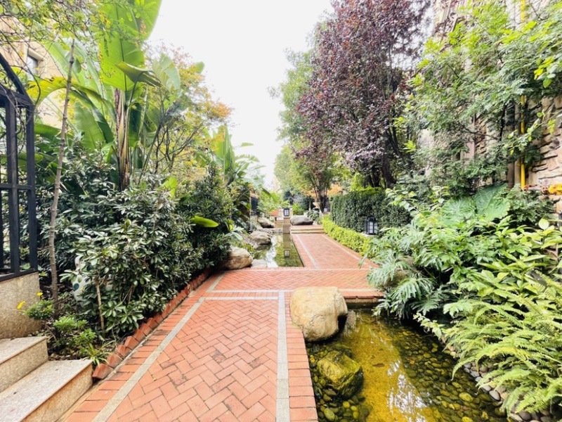 4室2廳2陽臺 公園1903圣維望其他