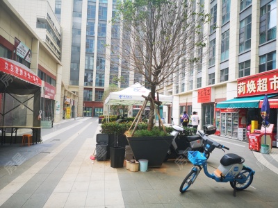 1室1廳 龍湖聽藍(lán)半島