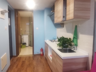 1室1廳1陽臺(tái) 保利中心