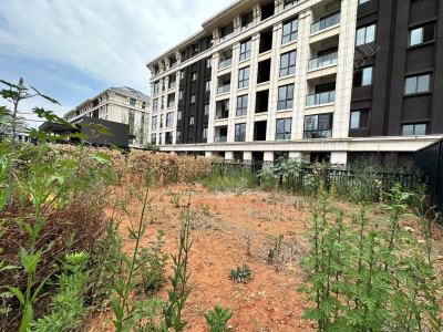 3室2廳1陽臺 海東俊園二期(閱海園)