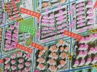 6室2廳2陽臺 楓林盛景西區(qū)別墅小區(qū)平面圖