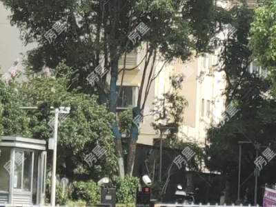 1室1廳1陽臺 日新粵寓