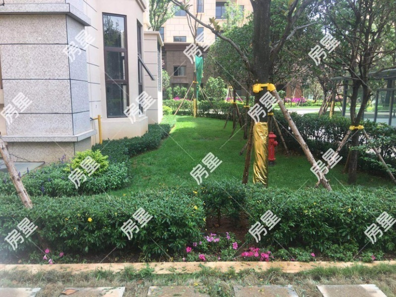 4室2廳2陽臺 中鐵水岸青城A2地塊其他