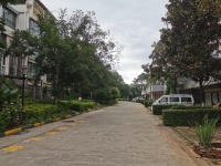 6室2廳2陽臺 楓林盛景西區(qū)別墅其他