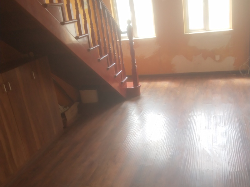 6室3廳3陽臺(tái) 南方公園其他