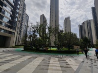 3室2廳1陽臺(tái) 招商雍和府一期其他