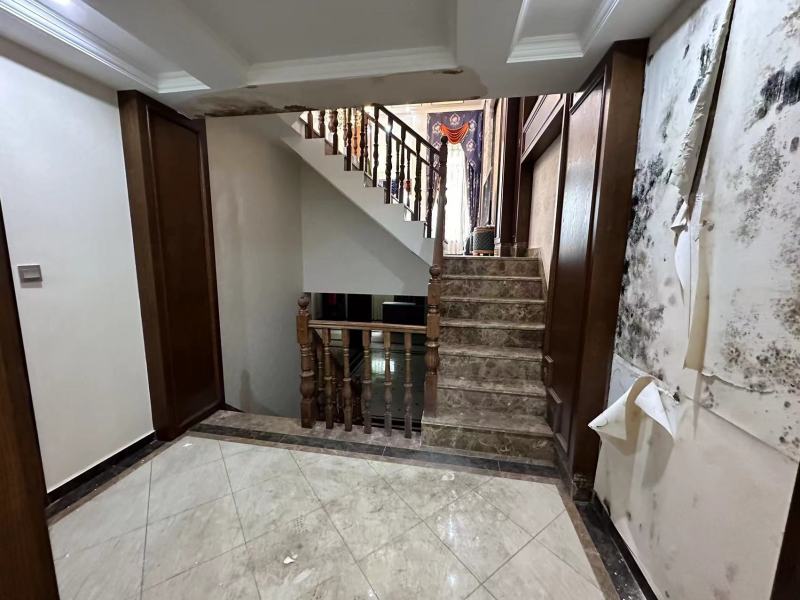 6室2廳1陽臺 立欣洲別墅其他