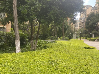 3室2廳 新亞洲星體花園南區(qū)