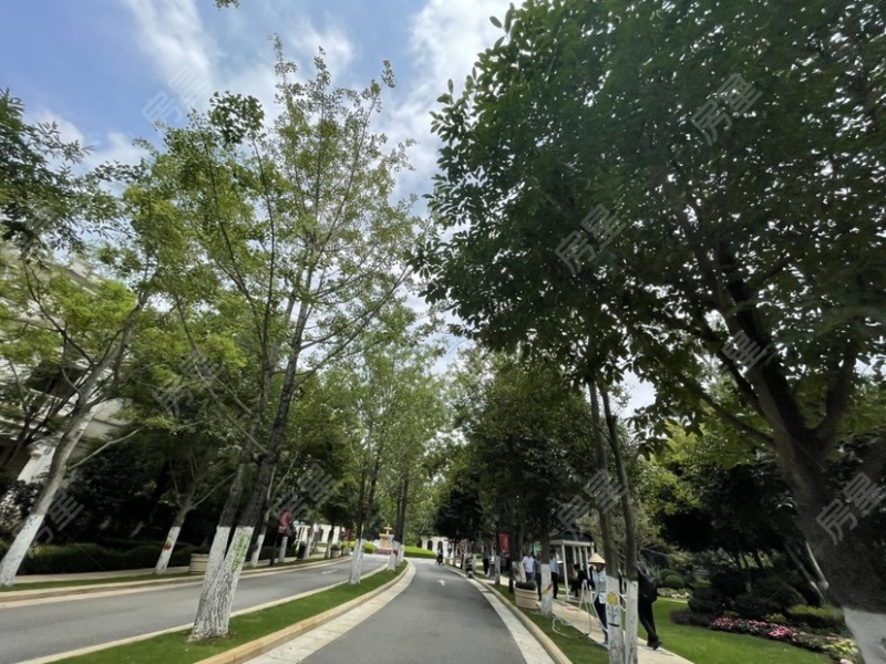 5室2廳3陽臺 滇池ONE7號地塊劍橋公館別墅其他