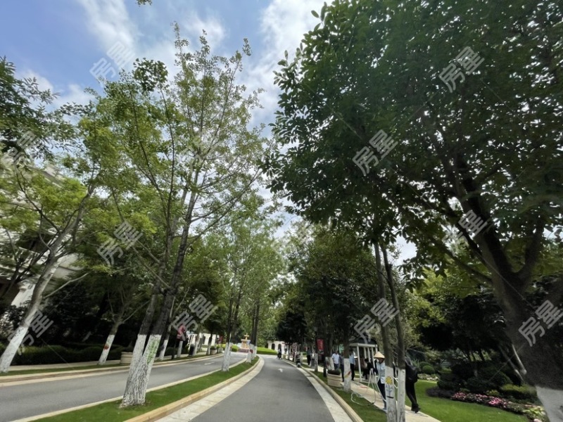 8室4廳4陽(yáng)臺(tái) 滇池ONE一期別墅其他