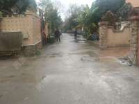 9室3廳6陽(yáng)臺(tái) 云大知城一期別墅其他