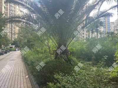 4室2廳3陽臺 廣源小區(qū)一組團