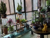 4室2廳2陽臺(tái) 和諧世紀(jì)陽臺(tái)