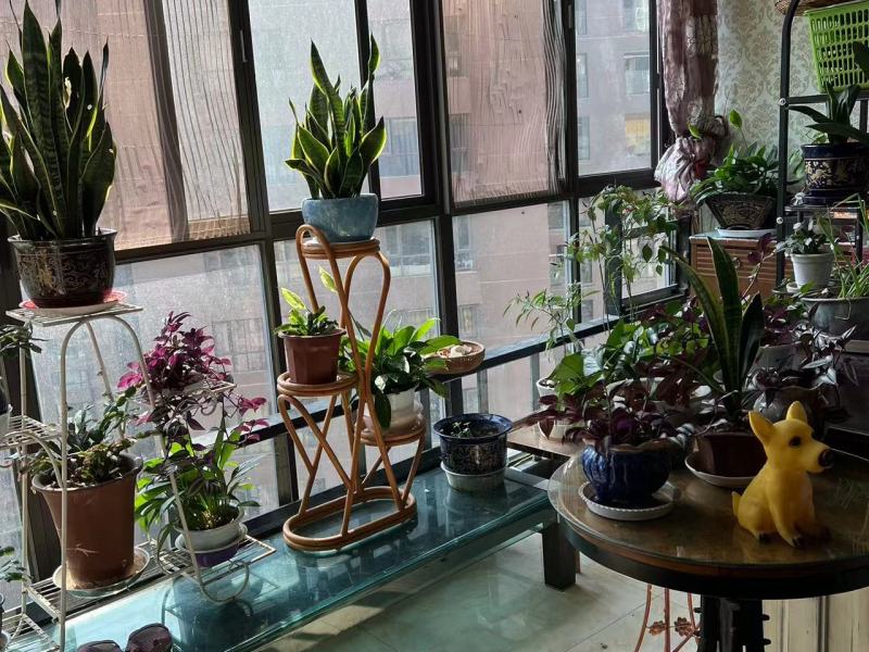 4室2廳2陽臺(tái) 和諧世紀(jì)陽臺(tái)