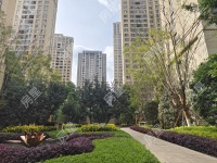 3室2廳1陽臺 紅星天鉑其他