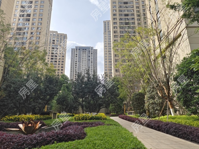 3室2廳1陽臺 紅星天鉑其他