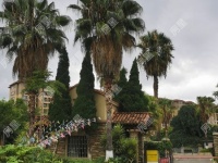 9室6廳4陽臺 奧宸橙郡一期別墅其他