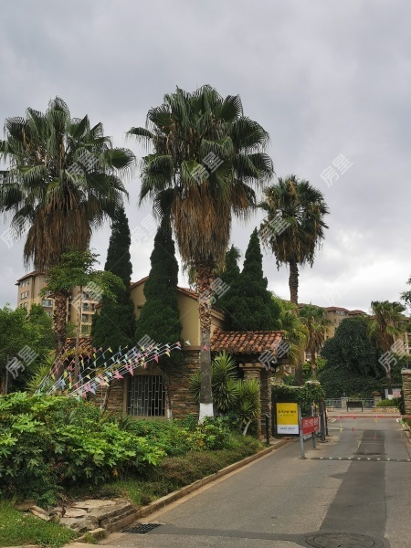 9室6廳4陽臺 奧宸橙郡一期別墅其他