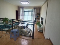 3室2廳1陽(yáng)臺(tái) 和諧世紀(jì)客廳