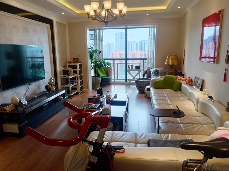 3室2廳2陽臺 南亞風(fēng)情第壹城星河苑客廳