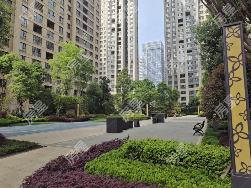 3室2廳1陽臺 紅星天鉑其他