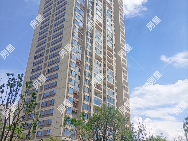 4室2廳1陽臺 中駿天譽二期其他