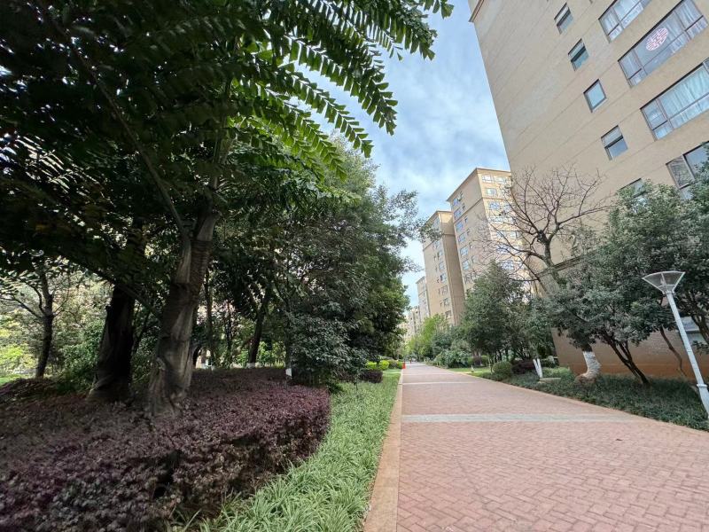 3室2廳2陽臺 西南海天璽苑其他