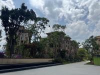 3室2廳2陽臺 西南海天璽苑其他