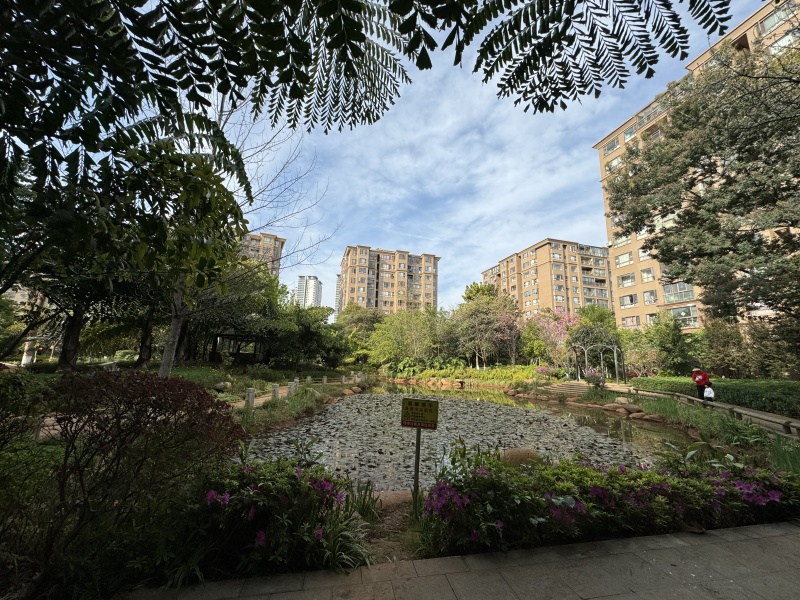 3室2廳2陽臺 西南海天璽苑其他