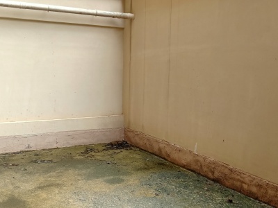 4室2廳 公園1903圣維望