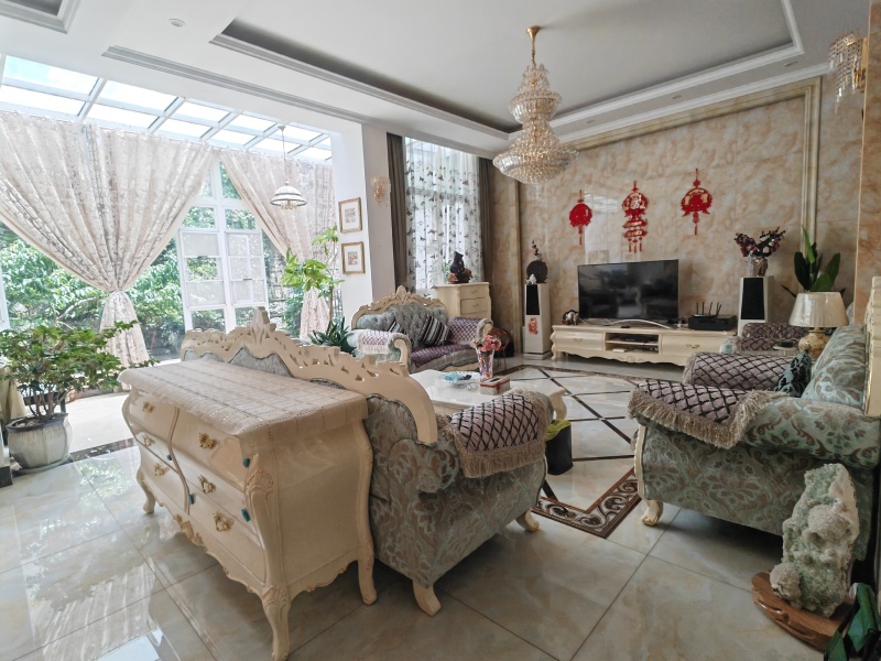 5室2廳3陽臺 清水木華別墅客廳