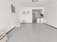 1室1廳1陽臺 海倫堡中央廣場公寓客廳