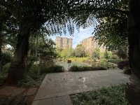 3室2廳2陽臺 西南海天璽苑其他